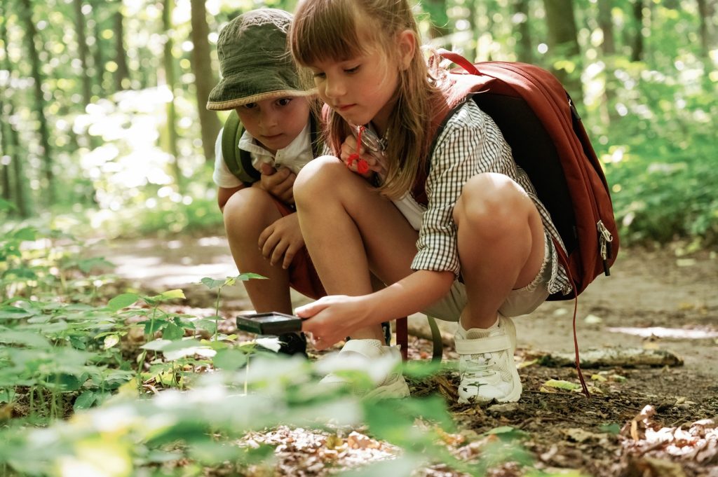 sitting-looking-plants-kids-forest-summer-daytime-together