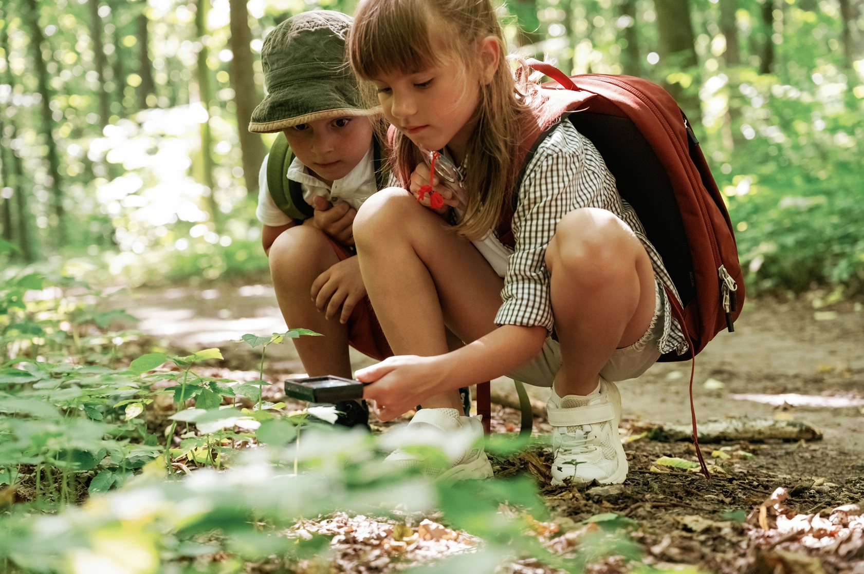 sitting-looking-plants-kids-forest-summer-daytime-together